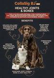 Signate Collasig Bj Pro Redefines Bone And Joint Health Of Pets