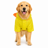 Canes Venatici Raincoat - Yellow