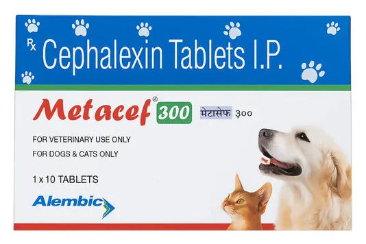 Alembic Metacef 300mg Tablets