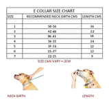 Petropolis Elizabeth Protective Collar For Dogs