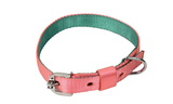 Kennel Soft Nylon Two Color Collar (1