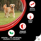 Supercoat All Breed With Chicken Adult Dog Dry Food (2 + 1 Kg Free)