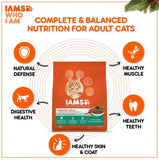 IAMS Proactive Health Healthy Adult With Chicken & Salmon Dry Food For Cats