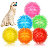 Petropolis Spike Squeaky Ball Dog Toy
