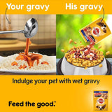 Pedigree Chicken & Liver Chunks Flavour In Gravy - Adult (5 Pouch x 70 Gms) - New Offer