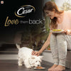 Cesar Tuna With White Fish & Vegetable Tray 100 G (Pack Of 24) - Ecom Pack