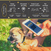 Tag8 Secure Your Pet With Genie Smart Pet Tag