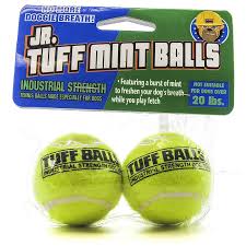 Petsport USA Junior Tuff Mint Balls