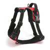 Whoof Whoof Double Padded Harness - Assorted Colors