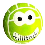 Petsetgo Flat Volley Ball Squeaky Toy