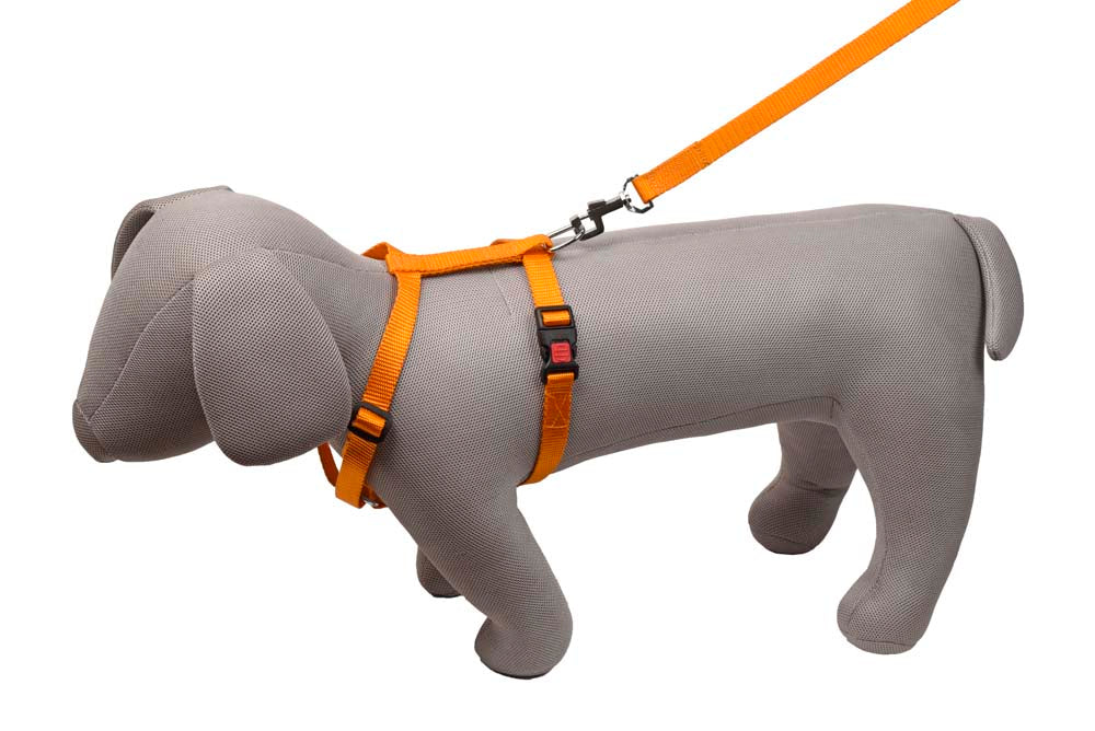 Kennel Soft Nylon 3 Way Click Lock Adjustable Harness & Leash Set (3/4")