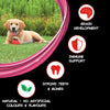 Supercoat All Breed With Chicken Puppy Dry Food