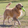 Kong Air Squeaker Stick With Rope Dog Toy