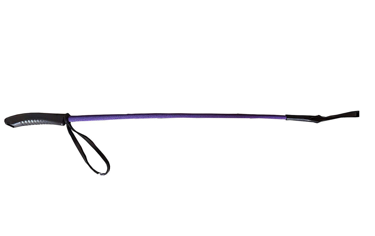 Dog Fancy Walking Stick