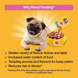 Pedigree Puppy Combo Mix Offer '3 Kg Chicken & Milk + 4 Gravy Pouches