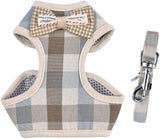 Whoof Whoof Printed Bow Harness With Leash