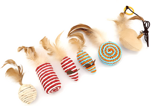 Holy Paws Single Cat Toy With Assorted Toy Designs