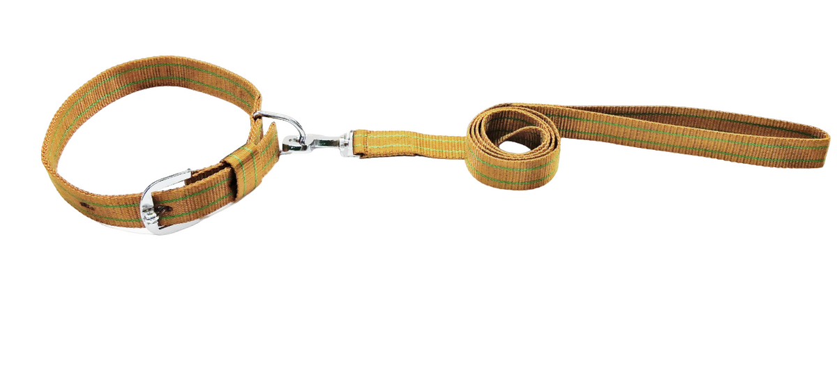 Kennel Nylon Pattern Collar & Leash Set (3/4")