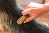 Trixie Carding Groomer