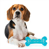 Fofos Cooling Bone Chill & Chew Freeze Dog Toy