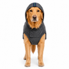 Canes Venatici Raincoat - Grey
