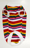 Rays Dog T-Shirt (Size 14 Inches)