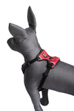 Kennel Full Body Harness (Small - 22" Inch)