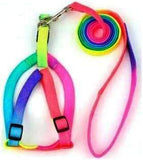 Petropolis Multicolor Harness Set For Dog