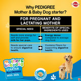 Pedigree Starter Nutri Defense With Milk For Mother And Babydog