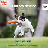 West Paw Zogoflex Rumpus Chew Toy For Dog - Green