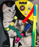 Petropolis Jabaz Pet Multicolour Harness For Cat