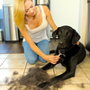 Trixie Carding Groomer