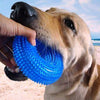 Pets Empire Squeaky Chew Dog Toy