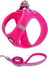 Truelove Harness & Leash Set For Dog Breeds - Fuchsia
