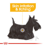 Royal Canin Dermacomfort Loaf Dog Pouch