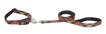 Kennel Urban Prints Collar & Leash Set -1 Inch