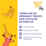 Capt. Zack : Tropical Apeel - Crisp Banana Dog Treats