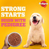 Pedigree Puppy Pouch Chicken, Liver & Vegetable Chunks In Gravy
