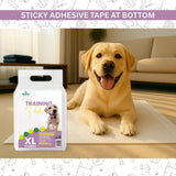 Basil Dog Training Pads - 90 x 60 cm