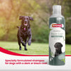 Beaphar Black Coats Aloe Vera Dog Shampoo