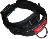 Patento Pet Sports Collar With Integrated Lead for Dog