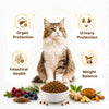 Spectrum Low Grain Chicken, Turkey & Cranberry Formula Kitten Food
