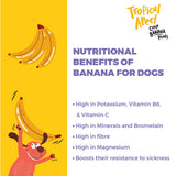 Capt. Zack : Tropical Apeel - Crisp Banana Dog Treats