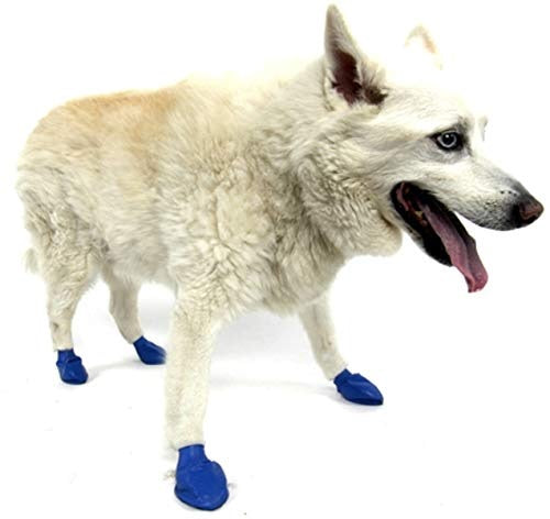 Pawz Waterproof Dog Boots - Medium - Blue