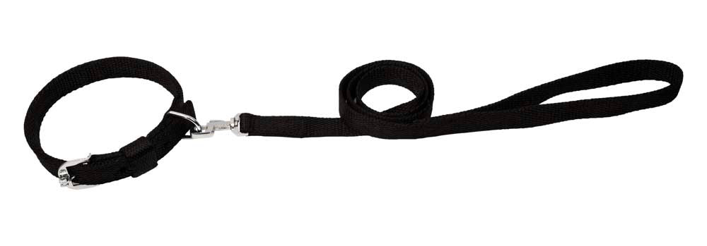 Kennel Premium Nylon Collar & Leash Set (1")
