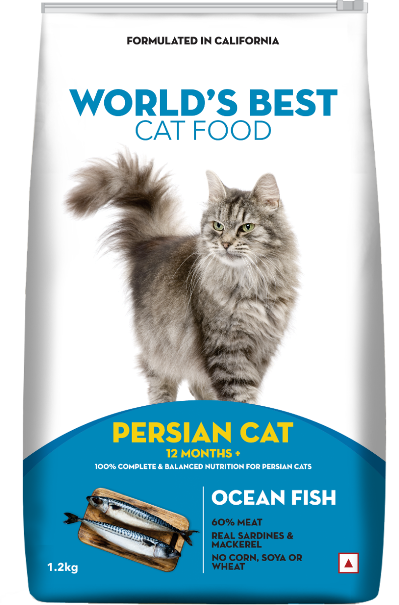 Best Cat Food for Persian Cats