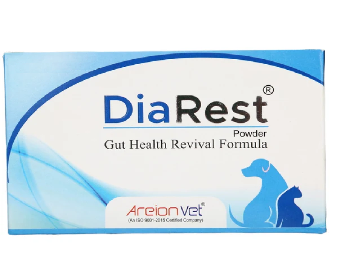 Areion Vet Dia Rest Gut Health Revival Formula For Dogs & Cats - (1 pc)