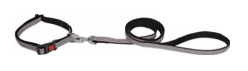 Kennel Reflective Collar & Leash Set (W = 1 1/4 Inch)