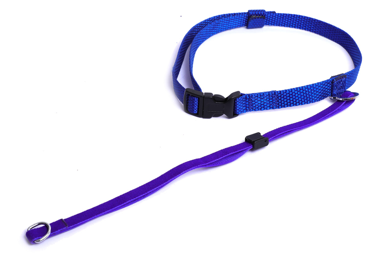 Kennel Nylon Head Collar