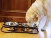 Pets Empire Bone Shape Metal Double Diner Bowl For Dogs
